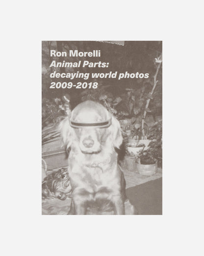 Innen Publishing Ron Morelli Aka L.I.E.S. Multicolor Books and Magazines Books IPMORELLIES 001